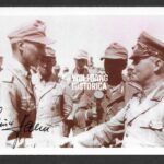 Günter Halm – Panzergrenadier-Regiment 104 (15. Panzer-Division)