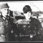 Willi Hammerich - Grenadier-Regiment 956