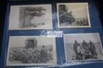 Deutsches Afrikakorps (DAK) Photolot - Image 6