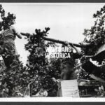 German Press Photo – Quick Barrel Change at the Invasion Front, June 1944
