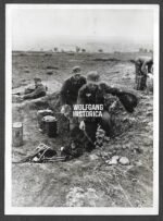 German Press Photo – "Grossdeutschland" Signal Troops Repairing Communication Lines, March 1944