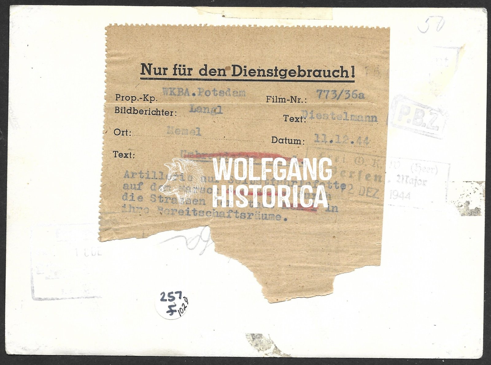 Foto_2025-10-30_075663