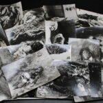 Gruesome Photolot (Postwar Copies) of Murdered/Dead German Soldiers