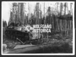 Press Photo – Sturmgeschütz III in Forest Combat – Eastern Front, March 1944
