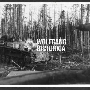 Press Photo – Sturmgeschütz III in Forest Combat – Eastern Front, March 1944