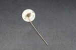 Nationalsozialistische Volkswohlfahrt (NSV) Membership Pin - Image 2