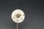 Nationalsozialistische Volkswohlfahrt (NSV) Membership Pin - Image 3