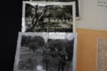 Photograph & Signature Set of Werner-Albrecht Freiherr von und zu Gilsa (RK+EL, Suicide!) - Image 5