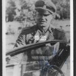 Martin Gross – SS-Panzer-Regiment “LSSAH” & “Hitlerjugend”