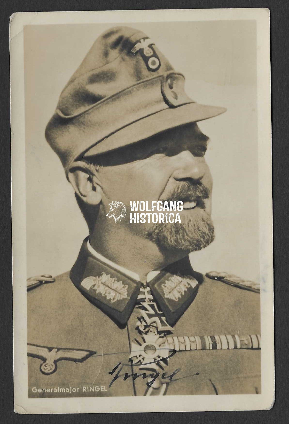 Foto_2026-01-23_111658 Julius Ringel - 5. Gebirgs-Division (Eichenlaub) (Wartime Signed) - Image 1
