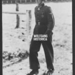 Teddy Wisch – 1. SS-Panzer-Division “LSSAH” (Schwertern)