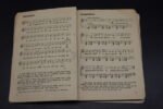 Liederbuch Reichsarbeitsdienst - Singend wollen wir marschieren - Image 2