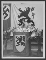 Press Photo: HJ Spokesperson of the Hitlerjugend-Vlaanderen
