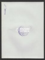 Press Photo: HJ Spokesperson of the Hitlerjugend-Vlaanderen - Image 2