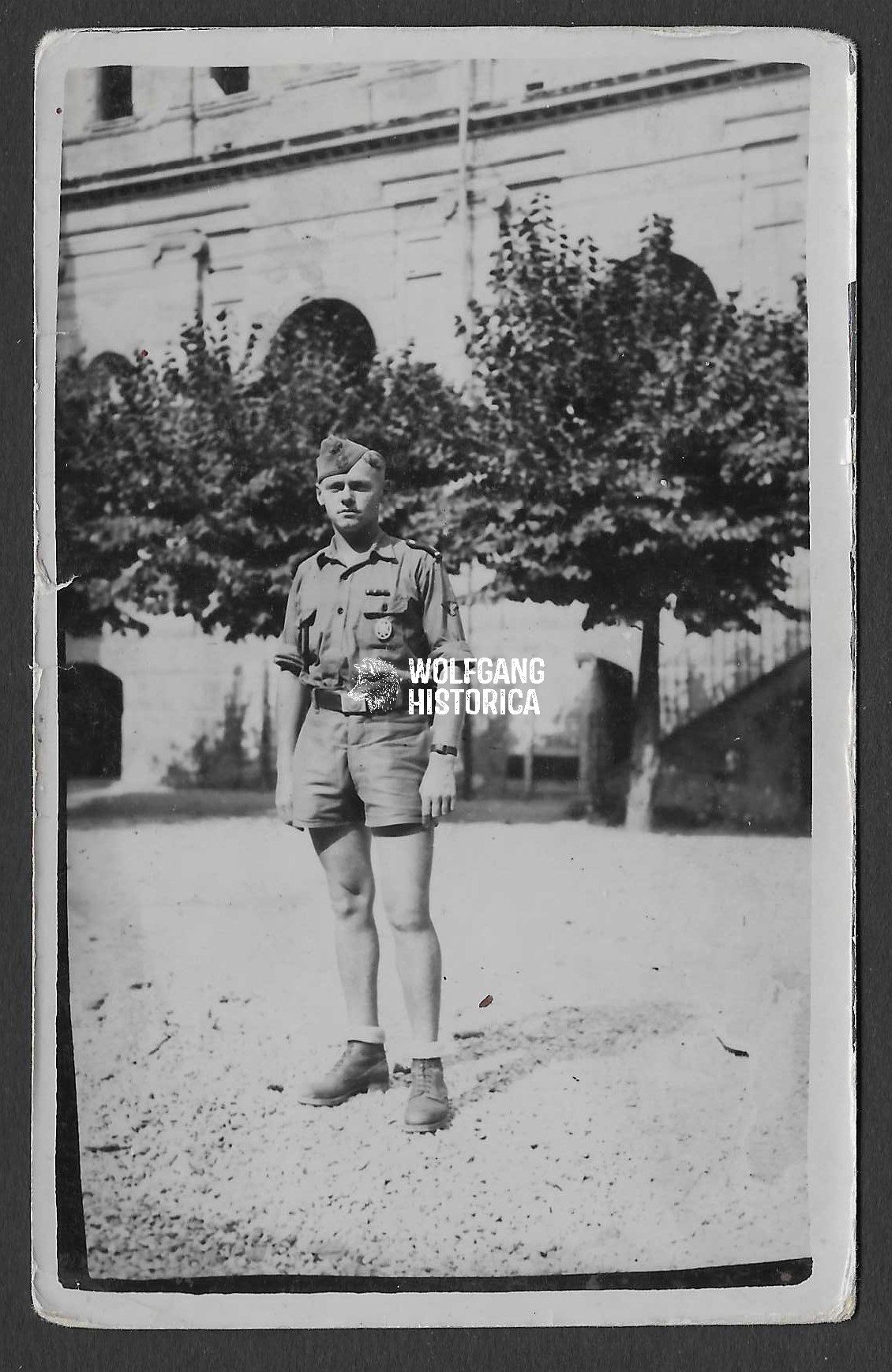 Foto_2026-02-24_120135 Photograph of Waffen-SS Soldier in Italy 1943-44 - Image 1
