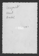 Photo of two Flemish brothers (Waffen-SS & Algemene-SS) - Image 2