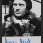 Hermann Hogeback – Lehrgeschwader 1 & Kampfgeschwader 6 (Schwertern)