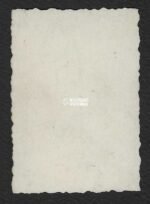 ID Photo of Vlaamse Fabriekswacht – Vlaamse Wachtbrigade - Image 2