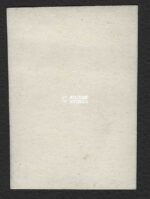 ID Photo of Vlaamse Fabriekswacht – Vlaamse Wachtbrigade - Image 2