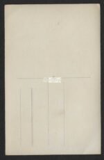 Photograph of a Flemish Zwarte Brigade-man - Image 2