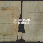 Lazarett Ausweis - Flemish W-SS Officer ("Horst Wessel" & "Langemarck" Division!)