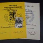 Set of 2x Pionier Award Docs (SMF PiKa & HIAG) + Gold Pin + Original Photo (Flemish W-SS Volunteer)