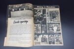 Flemish Waffen-SS Brochure – “Vlamingen op!” - Image 3