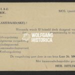 DeVlag - Cel Mol - Invitation