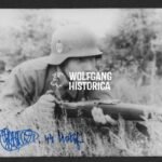 Bob Velleman - SS-Artillerie-Regiment "Horst Wessel" & "Langemarck"