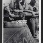 Karl Nicolussi-Leck – SS-Panzer-Regiment 5 “Wiking”