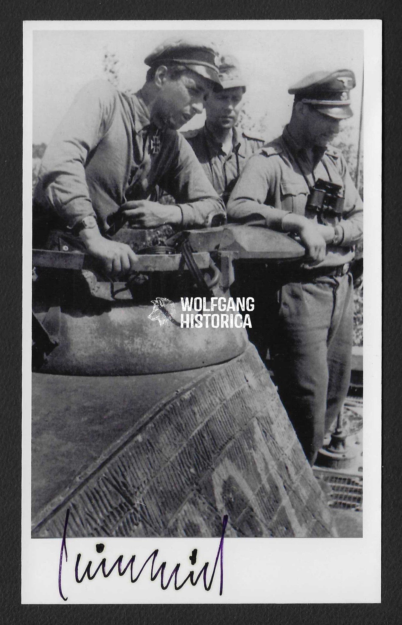 Foto_2026-04-09_092247 Karl Nicolussi-Leck – SS-Panzer-Regiment 5 “Wiking” - Image 1