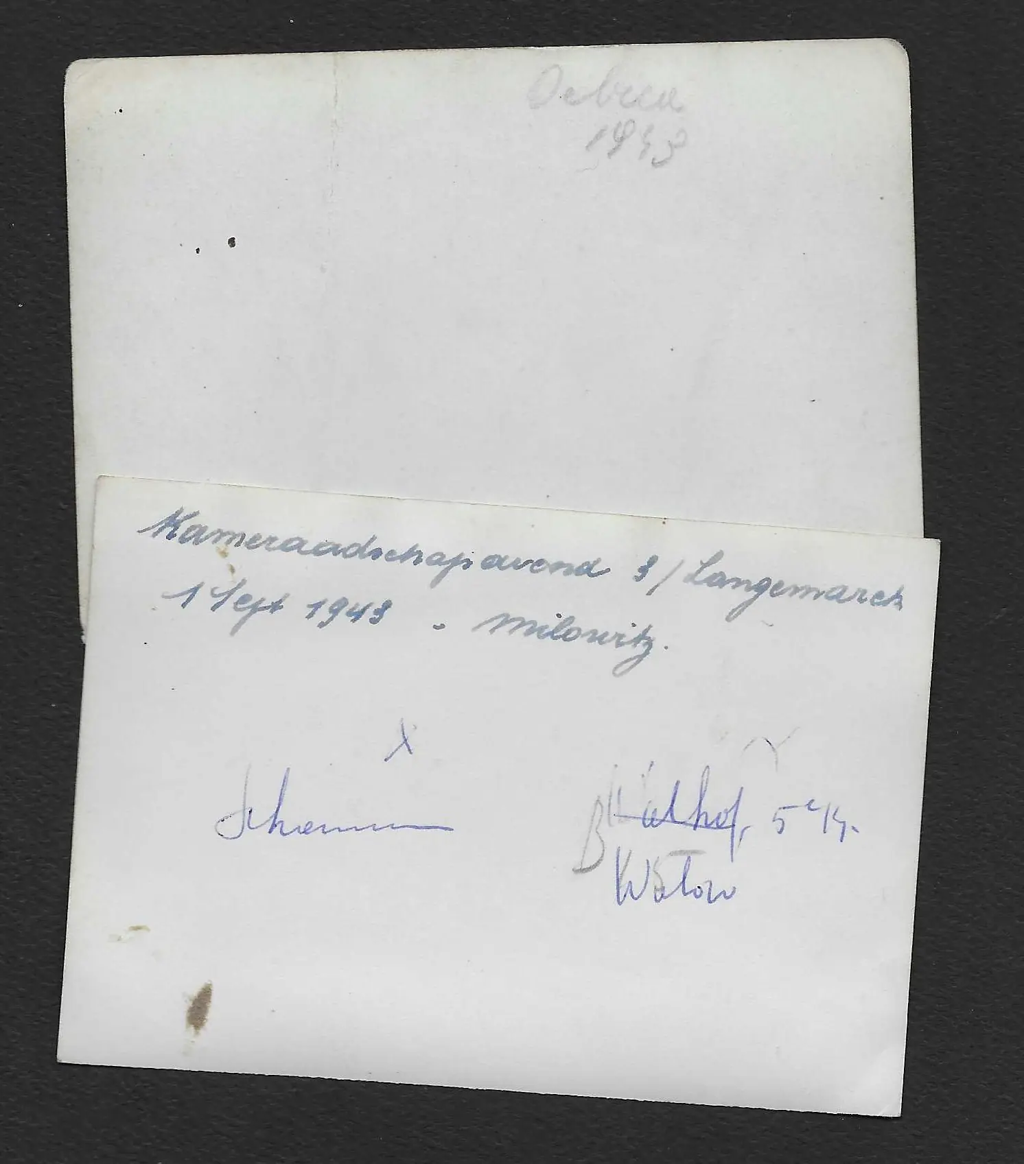 2x Photographs of Officer & NCO's - SS-Freiwilligen-Legion "Flandern" - Image 2