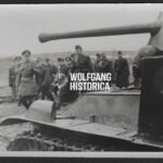 WWII German Press Photo – Generalfeldmarschall Walter Model and Generaloberst Vitéz Béla Miklós von Lakatos Inspect Hungarian Armored Units near Stanislau