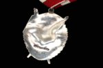 Soviet Order of the Red Banner №162636 – Researched to Major Fyodor N. Zasyadko, 1st Gorky Tank School - Image 2