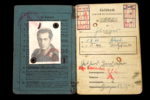 WWII German Luftwaffe Soldbuch Grouping with Lappland Shield (Lapplandschild) - Image 2
