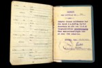 WWII German Luftwaffe Soldbuch Grouping with Lappland Shield (Lapplandschild) - Image 10