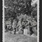 Photograph of Flemish Volunteers in Camo of the SS-Freiwilligen-Legion “Flandern”