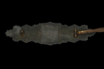 Nahkampfspange in Bronze (Close Combat Clasp in Bronze) – 6 Dot Variant - Image 4