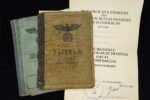 Soldbuch & Wehrpass + Ostmedaille Award Doc – Kranken-Transport-Abt. (mot.) 703 – Sturmbataillon 2. Pz.-Armee & Sanitäts-Kp. 373 (Kroat.)