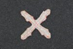 Walloon "REX" Breast Insignia - Image 2