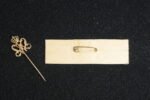 Unknown Veteran (Unit) Pin + Nametag - Image 2