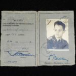 Wehrmacht Führerschein - Luftwaffe- with (Aeskulap) Photo