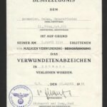 Verwundetenabzeichen in Schwarz Award Doc – Grenadier-Regiment 689 (246. Infanterie-Division) - 1944